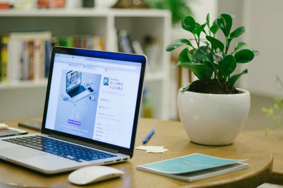 Website Cost
