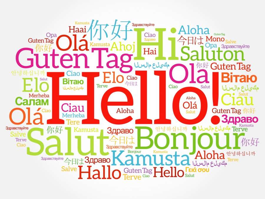 Multilingual Digital Marketing Agency