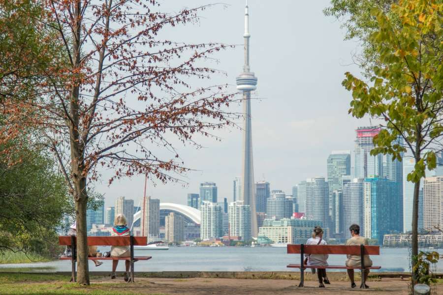 Toronto Seo Marketing Agency